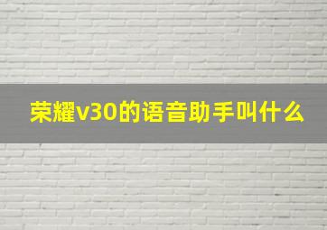 荣耀v30的语音助手叫什么