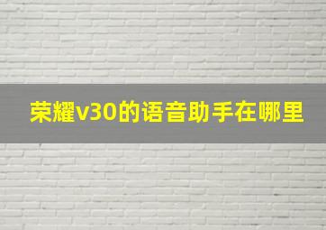 荣耀v30的语音助手在哪里