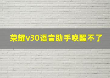 荣耀v30语音助手唤醒不了