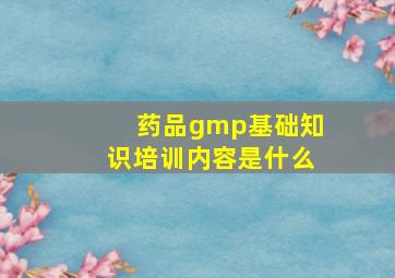 药品gmp基础知识培训内容是什么