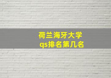 荷兰海牙大学qs排名第几名