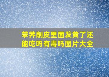 荸荠削皮里面发黄了还能吃吗有毒吗图片大全