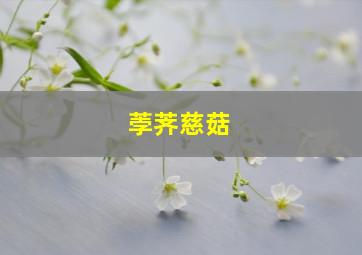 荸荠慈菇