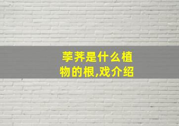 荸荠是什么植物的根,戏介绍