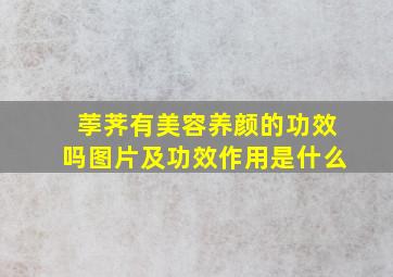 荸荠有美容养颜的功效吗图片及功效作用是什么