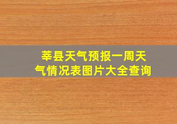 莘县天气预报一周天气情况表图片大全查询