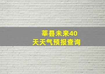 莘县未来40天天气预报查询