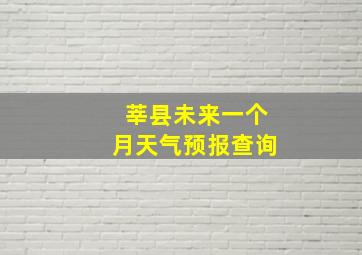 莘县未来一个月天气预报查询