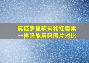 莫匹罗星软膏和红霉素一样吗能用吗图片对比