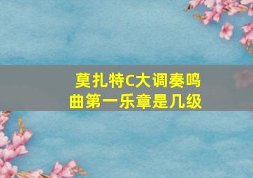 莫扎特C大调奏鸣曲第一乐章是几级