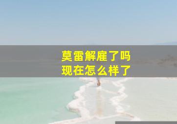 莫雷解雇了吗现在怎么样了