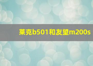 莱克b501和友望m200s