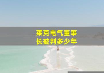 莱克电气董事长被判多少年