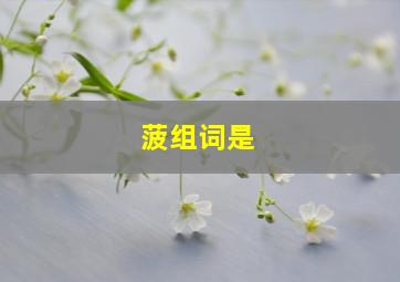 菠组词是