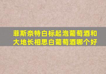 菲斯奈特白标起泡葡萄酒和大地长相思白葡萄酒哪个好