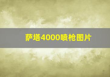 萨塔4000喷枪图片