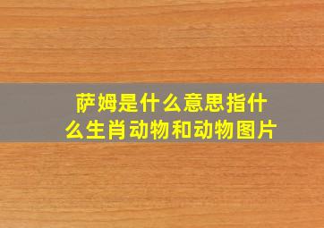 萨姆是什么意思指什么生肖动物和动物图片