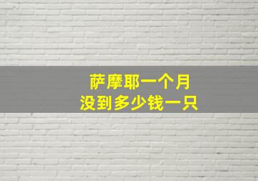 萨摩耶一个月没到多少钱一只