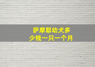 萨摩耶幼犬多少钱一只一个月