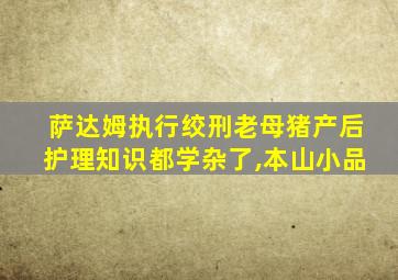 萨达姆执行绞刑老母猪产后护理知识都学杂了,本山小品