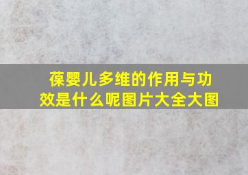 葆婴儿多维的作用与功效是什么呢图片大全大图