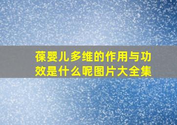 葆婴儿多维的作用与功效是什么呢图片大全集