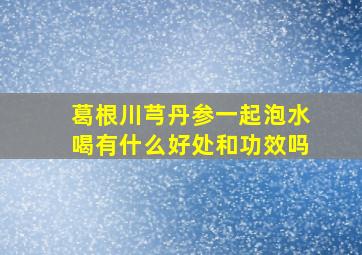 葛根川芎丹参一起泡水喝有什么好处和功效吗