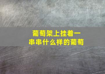 葡萄架上挂着一串串什么样的葡萄