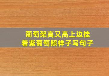 葡萄架高又高上边挂着紫葡萄照样子写句子