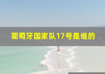 葡萄牙国家队17号是谁的