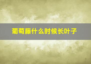 葡萄藤什么时候长叶子