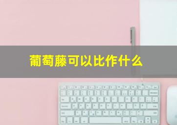 葡萄藤可以比作什么