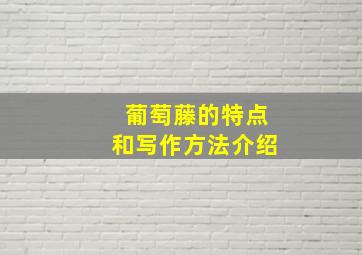 葡萄藤的特点和写作方法介绍