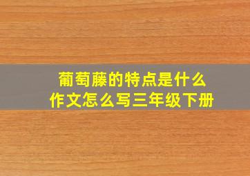 葡萄藤的特点是什么作文怎么写三年级下册