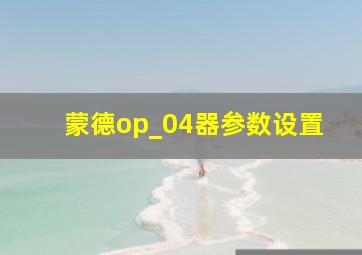 蒙德op_04器参数设置