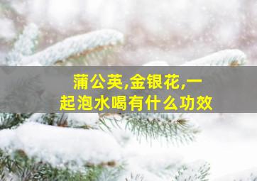 蒲公英,金银花,一起泡水喝有什么功效