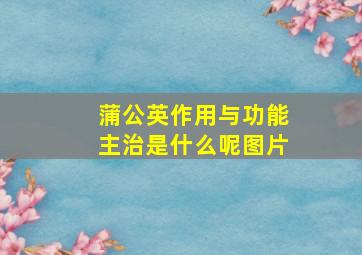 蒲公英作用与功能主治是什么呢图片