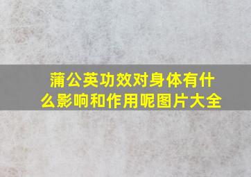 蒲公英功效对身体有什么影响和作用呢图片大全