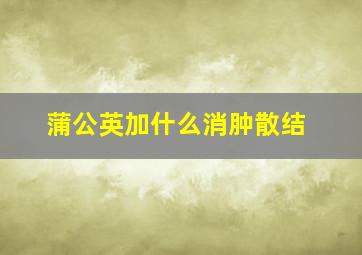 蒲公英加什么消肿散结