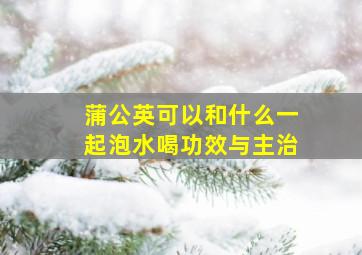 蒲公英可以和什么一起泡水喝功效与主治