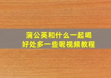 蒲公英和什么一起喝好处多一些呢视频教程