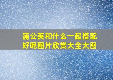 蒲公英和什么一起搭配好呢图片欣赏大全大图