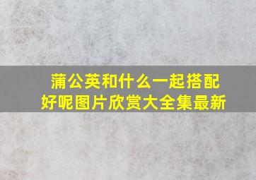 蒲公英和什么一起搭配好呢图片欣赏大全集最新