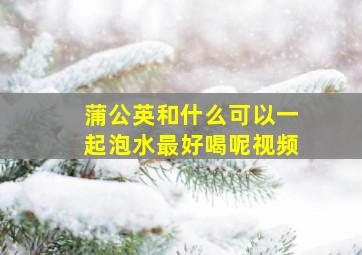 蒲公英和什么可以一起泡水最好喝呢视频