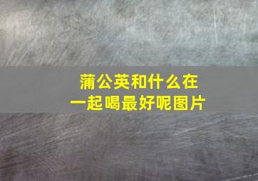 蒲公英和什么在一起喝最好呢图片