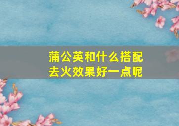 蒲公英和什么搭配去火效果好一点呢