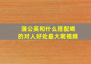 蒲公英和什么搭配喝的对人好处最大呢视频