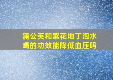 蒲公英和紫花地丁泡水喝的功效能降低血压吗