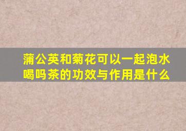 蒲公英和菊花可以一起泡水喝吗茶的功效与作用是什么