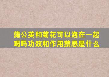 蒲公英和菊花可以泡在一起喝吗功效和作用禁忌是什么